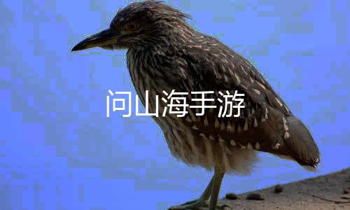 问山海手游