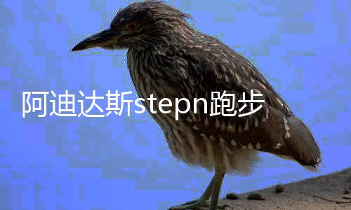 阿迪达斯stepn跑步链游