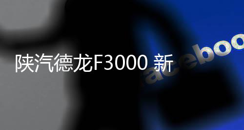 陕汽德龙F3000 新M3000 X3000 L3000大货车专用汽车吹尘枪吹气枪