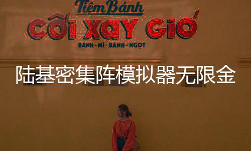 陆基密集阵模拟器无限金币版