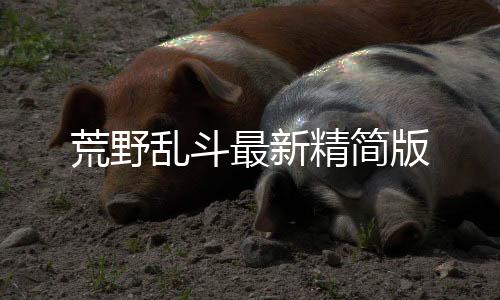 荒野乱斗最新精简版 荒野乱斗最新精简版