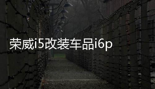 荣威i5改装车品i6plus装饰专用ei6金属中网ei5装饰条外观亮条配件