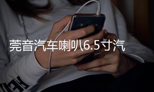莞音汽车喇叭6.5寸汽车同轴喇叭发烧车载i汽车音响喇叭改装升级