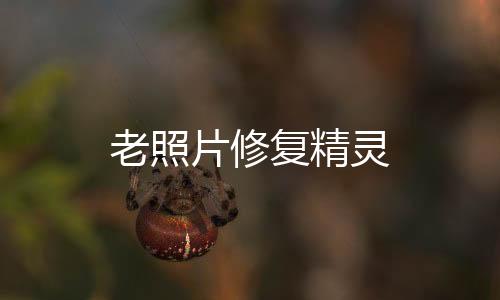 老照片修复精灵