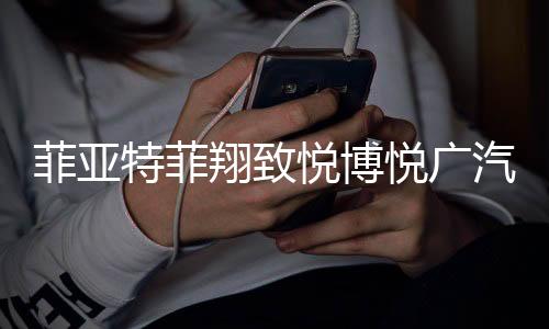菲亚特菲翔致悦博悦广汽传祺GA3SGS4GA5原装蓄电池瓦尔塔汽车电瓶