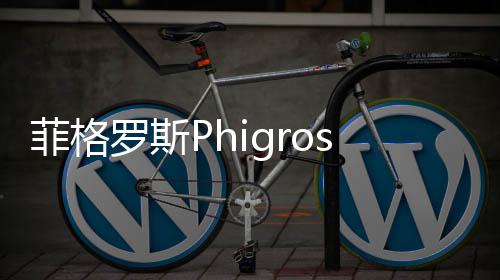 菲格罗斯Phigros2024鸽游