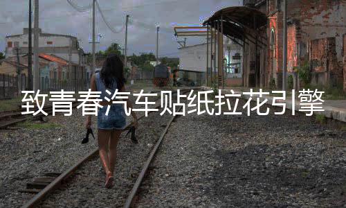 致青春汽车贴纸拉花引擎盖车门机盖贴纸刮痕车头盖个性贴