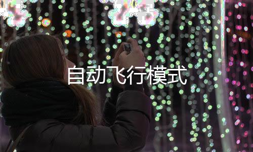 自动飞行模式