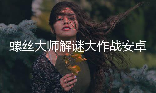 螺丝大师解谜大作战安卓版