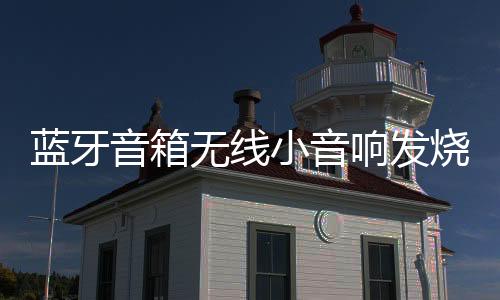 蓝牙音箱无线小音响发烧级hifi男生低音炮网红款高端车载汽车高档小型户外手持卡拉ok大音量高音质K歌扬声器