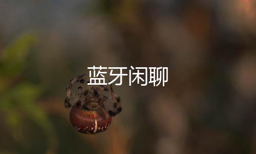 蓝牙闲聊