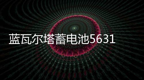蓝瓦尔塔蓄电池56318汽车电瓶适配新福克斯经典福克斯蒙迪欧致胜