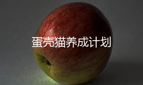 蛋壳猫养成计划