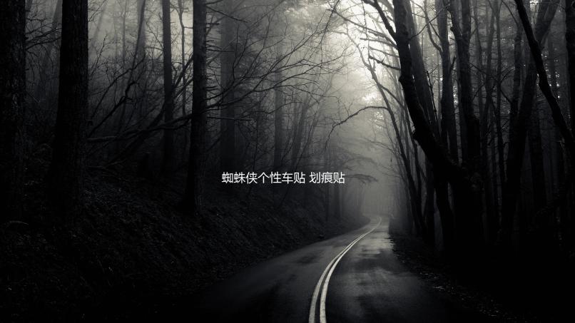 蜘蛛侠个性车贴 划痕贴 遮挡擦痕汽车贴纸 保险杠贴 趣味搞笑车贴