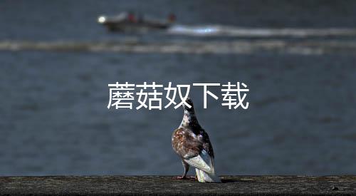 蘑菇奴下载