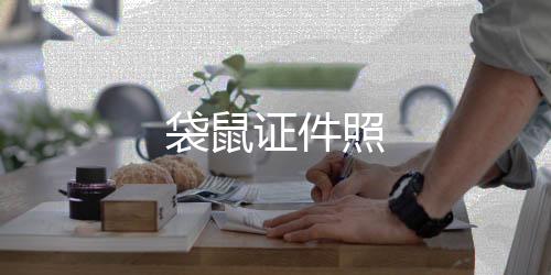 袋鼠证件照