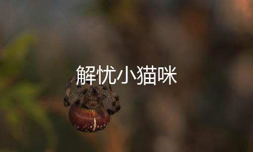 解忧小猫咪