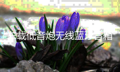 车载低音炮无线蓝牙音箱重低音12v24v大功率货车汽车音响改装家用