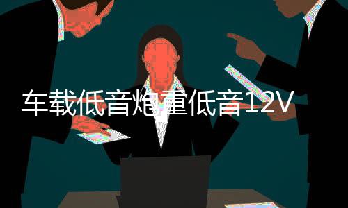 车载低音炮重低音12V小车改装汽车音响蓝牙货车24V大功率家用音箱