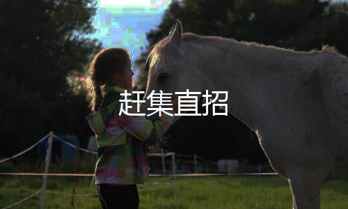 赶集直招