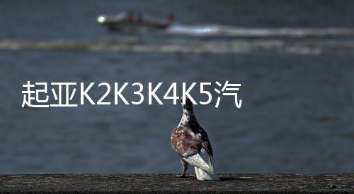 起亚K2K3K4K5汽车贴纸 现代名图腰线拉花 朗动瑞纳改装全车刮痕贴