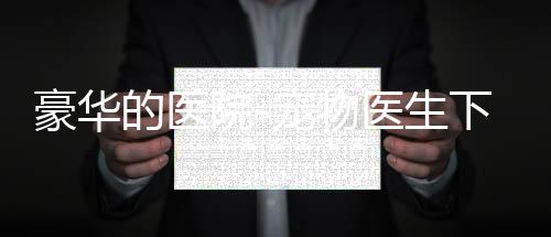 豪华的医院-宠物医生下载
