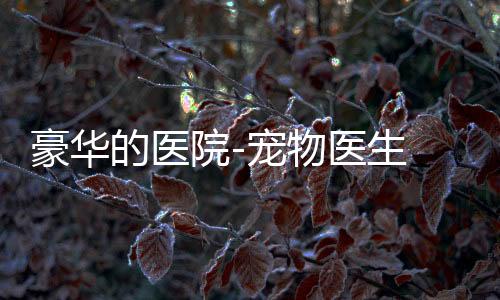 豪华的医院-宠物医生 1.0.14