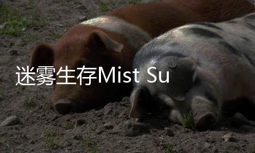 迷雾生存Mist Survival安卓版
