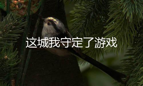 这城我守定了游戏