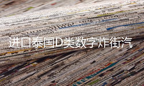 进口泰国D类数字炸街汽车音响改装大功率纯低音双音圈无源炮功放