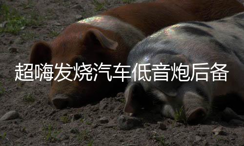 超嗨发烧汽车低音炮后备箱音响 12寸有源震撼重低音车载12v大功率