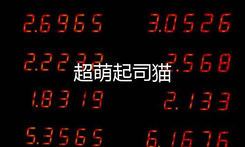 超萌起司猫