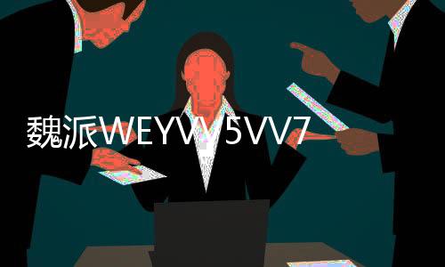 魏派WEYVV5VV7VV6仪表盘中控台避光垫改装配件汽车内装饰防晒用品