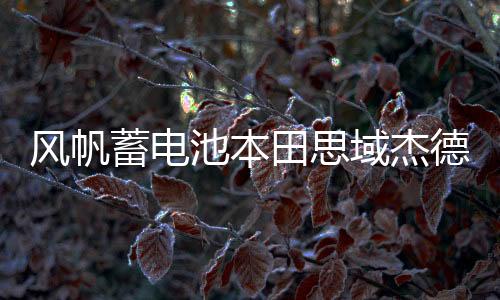风帆蓄电池本田思域杰德凌派奥德赛思铭轩逸骐达原装45ah汽车电瓶