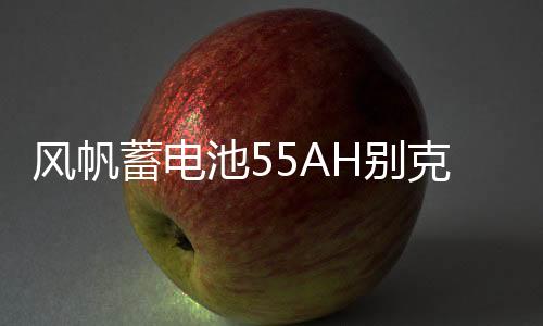 风帆蓄电池55AH别克凯越老君越景程雪佛兰乐风乐驰指南者汽车电瓶