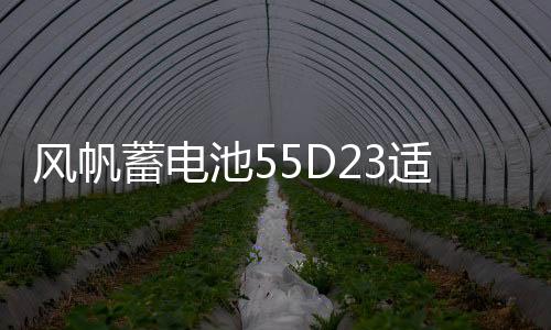 风帆蓄电池55D23适配悦动IX35卡罗拉比亚迪汽车电瓶