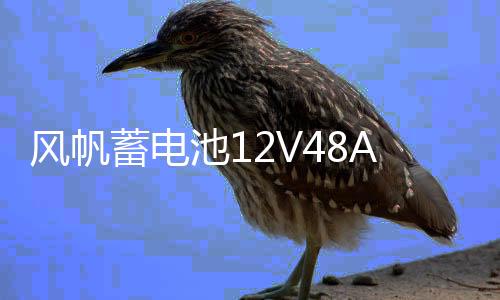 风帆蓄电池12V48AH/6-QW-48/五菱之光荣光扬光鸿途切诺基原装电瓶