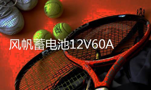 风帆蓄电池12V60AH大众/宝来/高尔夫6/高尔夫7/速腾/迈腾汽车电瓶
