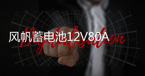 风帆蓄电池12V80A风骏普拉多陆巡赛影95D31L免维护汽车电瓶