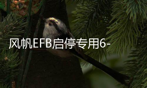 风帆EFB启停专用6-QW-70适英朗昂科拉朗逸迈腾汽车免维护电池电瓶