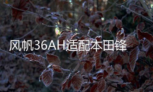 风帆36AH适配本田锋范/飞度/思迪/理念/铃木/锋范/奥拓汽车蓄电池