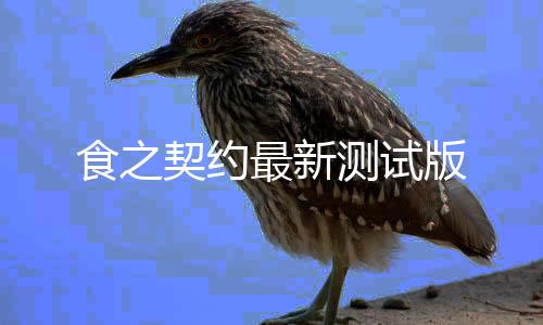 食之契约最新测试版
