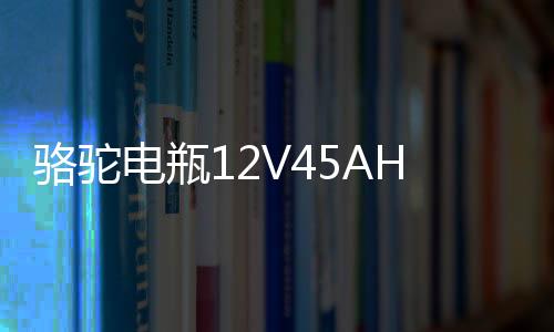 骆驼电瓶12V45AH适配长安之星面包车五菱宏光s东风小康汽车蓄电池