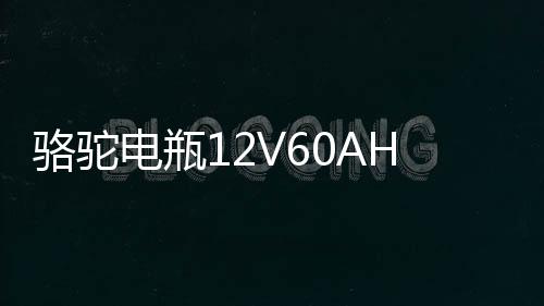 骆驼电瓶12V60AH适配长安逸动悦翔睿骋志翔莲花汽车蓄电池L2350