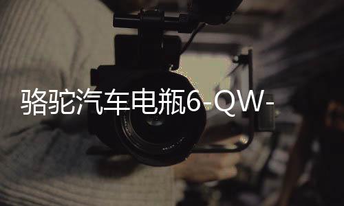 骆驼汽车电瓶6-QW-45适配雅阁本田CRV锋范杰德缤智12V45AH蓄电池