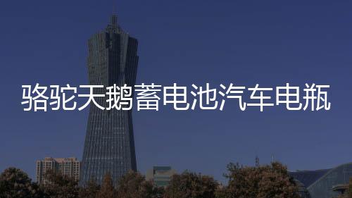 骆驼天鹅蓄电池汽车电瓶12V60AH55D26L马自达6凯美瑞汉兰达海马S6