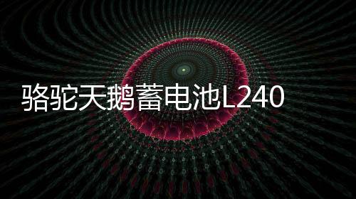骆驼天鹅蓄电池L2400适配高尔夫迈腾明锐捷达力帆12V60AH汽车电瓶