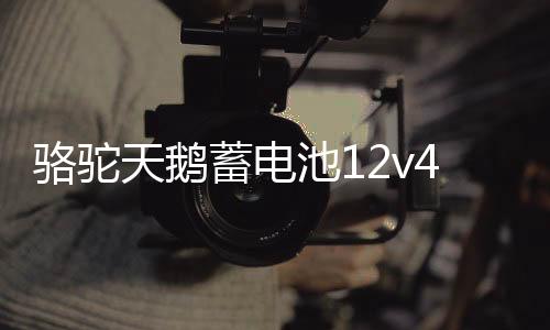 骆驼天鹅蓄电池12v45ah适配原装五菱宏光金刚长安面包车汽车电瓶