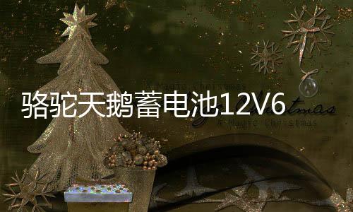 骆驼天鹅蓄电池12V60AH适配逆变摆摊照明农用小铲车汽车电瓶55D26
