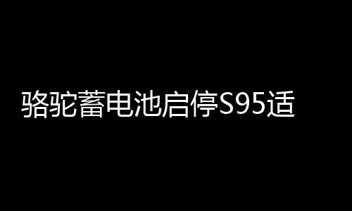 骆驼蓄电池启停S95适配汉兰达奥德赛凯美瑞威驰致炫汽车电瓶